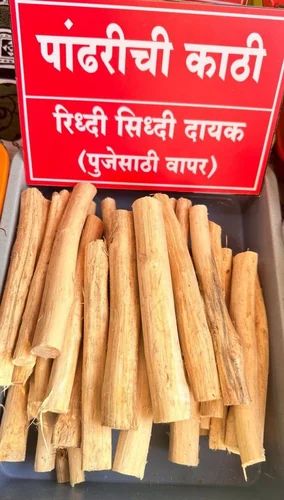 Organic Pandhari Chi Kathi Sticks, for Ayurvedic Medicine, Packaging Type : Plastic Packet
