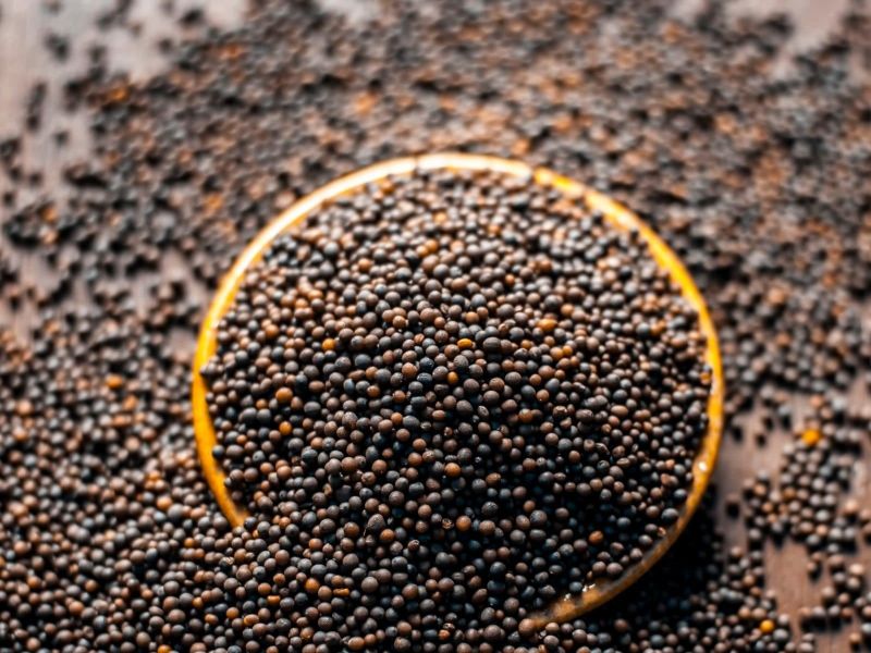 Natural Black Mustard Seeds, for Cooking, Shelf Life : 6 Month
