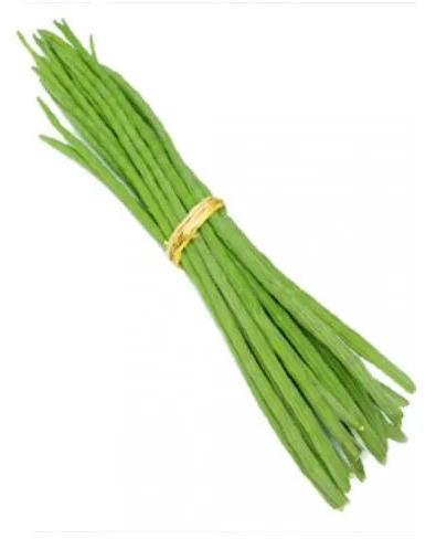 Green Natural Fresh Drumsticks, for Cooking, Feature : Healthy