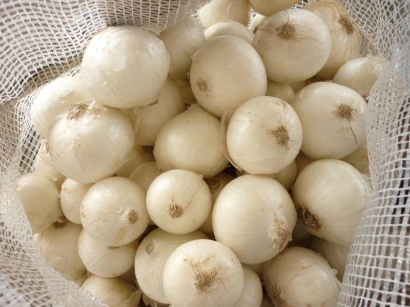 Fresh White Onion, Storage Tips : Dry