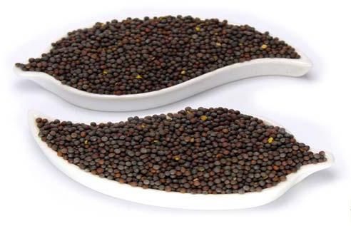 Black Mustard Seeds