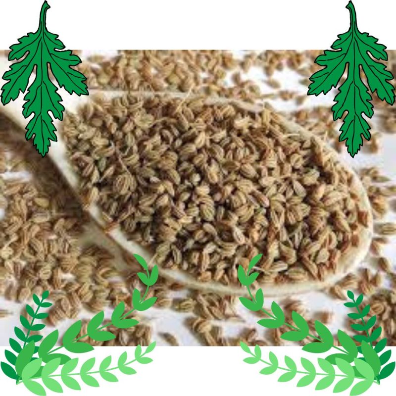 ajwain seeds