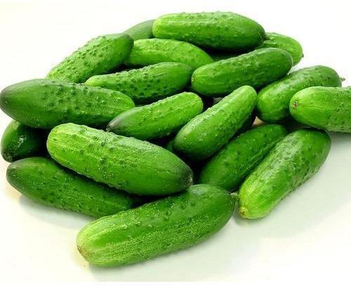 Fresh Cucumber