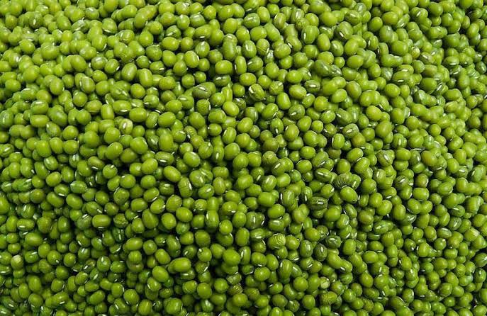 Common Green Gram, for Cooking, Feature : Healthy To Eat, Nutritious