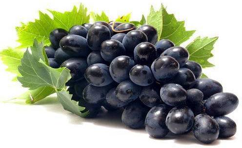 Fresh Black Grapes, Packaging Size : 10 kg