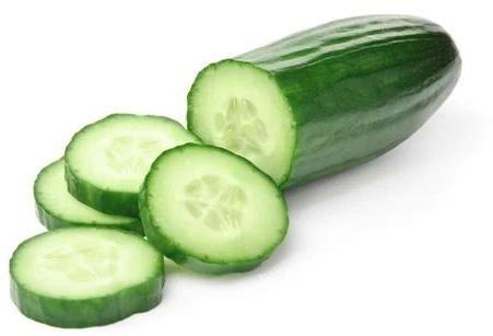 Fresh Cucumber, Packaging Type : Bag