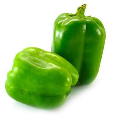 Fresh green capsicum, for Cooking, Packaging Type : Bag