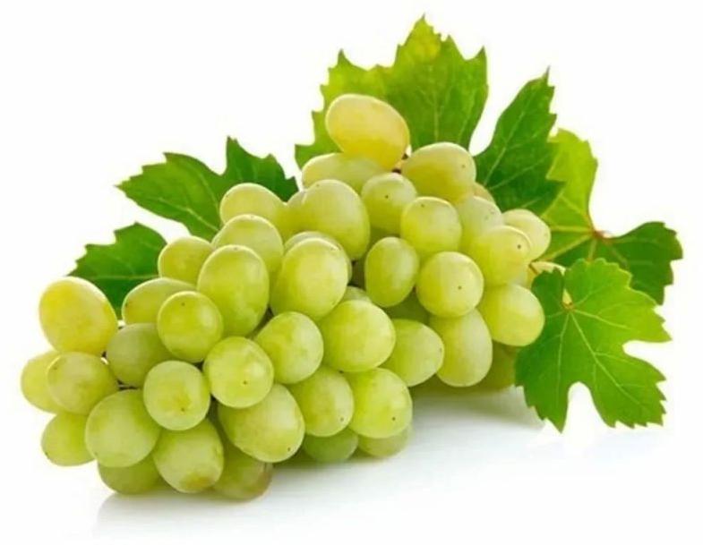 Natural Fresh Green Grapes for Human Consumption