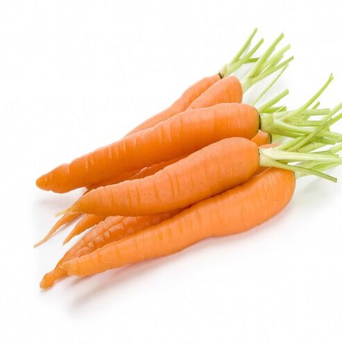 Fresh Orange Carrot, Packaging Size : 20 Kg