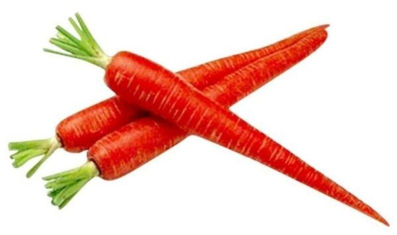Natural Fresh Red Carrot, for Salad, Packaging Size : 20 Kg