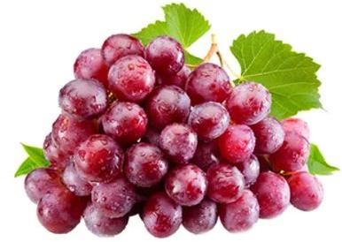 Natural Fresh Red Grapes for Human Consumption