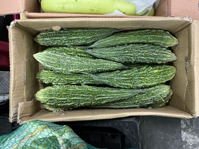 Organic Fresh Bitter Gourd, For Human Consumption, Certification : Apeda