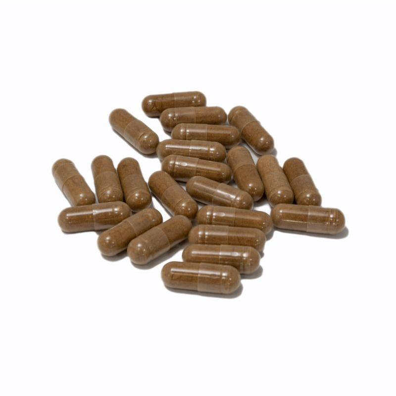 Cordyceps Militaris Mushroom Capsules