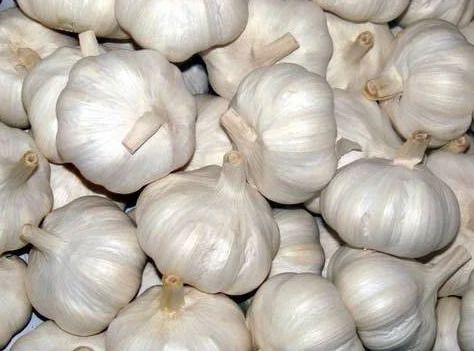 Natural Fresh Garlic, Packaging Size : 20 Kg