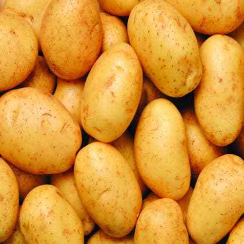 Natural Fresh Potato, Packaging Size : 25 Kg