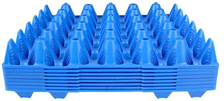 Blue Plastic Egg Tray