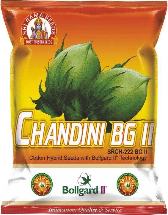 Chandinl-222 BG II Hybrid Cotton Seeds, for Agriculture, Packaging Type : Plastic Packets