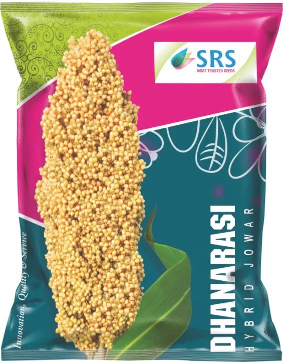 Dhanarasl-909 Hybrid Jowar Seeds, Packaging Type : Plastic Packet