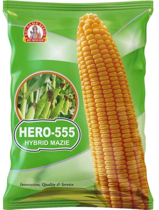 SRS Hero-555 Hybrid Maize Seeds, Packaging Type : Plastic Packet