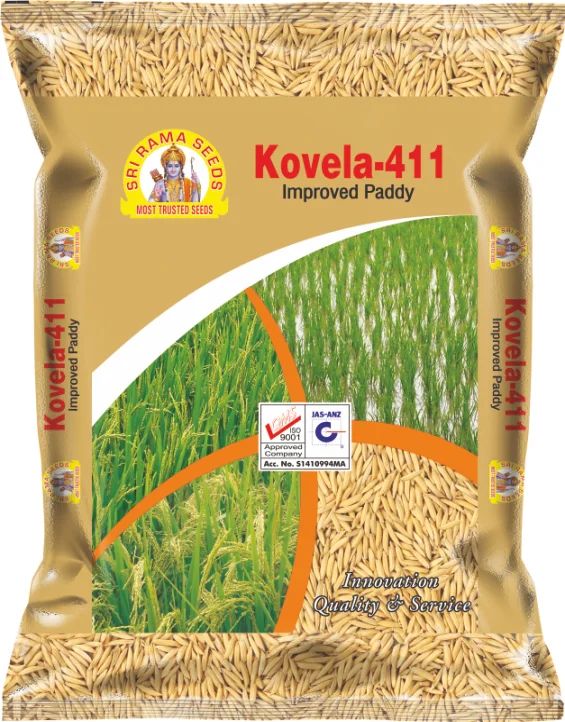 SRS Kovela-411 Improved Paddy Seeds, for Agriculture, Packaging Type : Plastic Packet