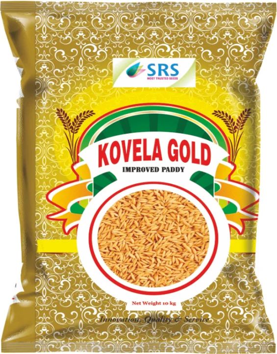 Kovela Gold Improved Paddy Seeds, for Agriculture, Packaging Type : Plastic Packet