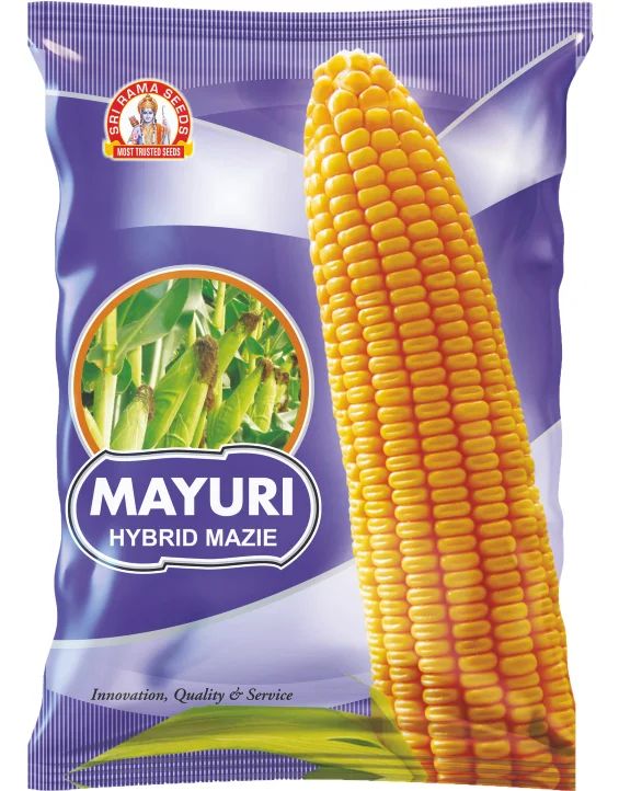 SRS Mayuri-699 Hybrid Maize Seeds, Packaging Type : Plastic Packet