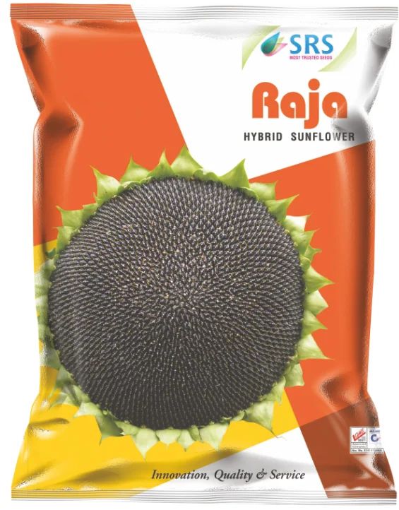 SRS Raja-333 Hybrid Sunflower Seeds, Packaging Type : Plastic Packets