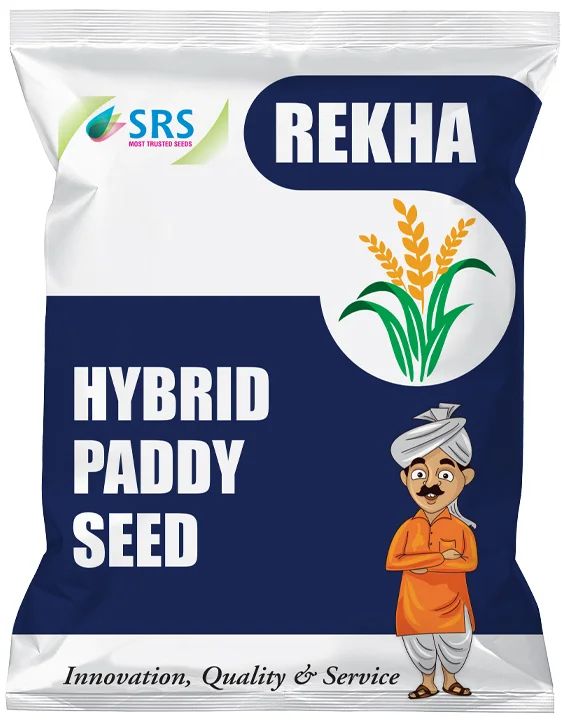 SRS Rekha Hybrid Paddy Seeds, for Agriculture, Packaging Type : Plastic Packet