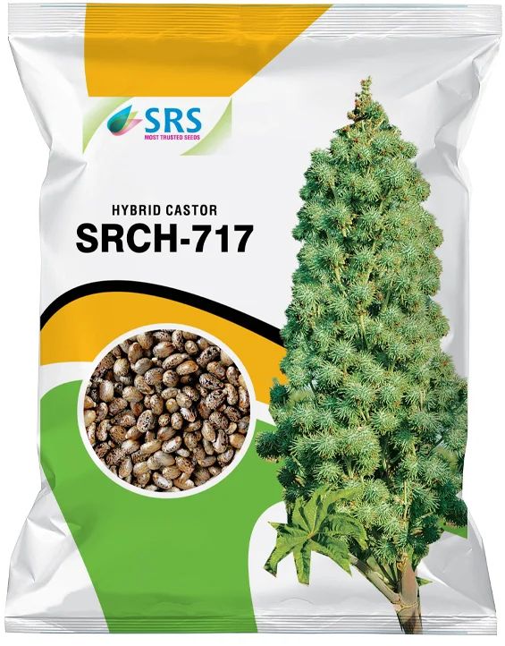 SRCH-717 Hybrid Castor Seeds, Packaging Type : Plastic Packet