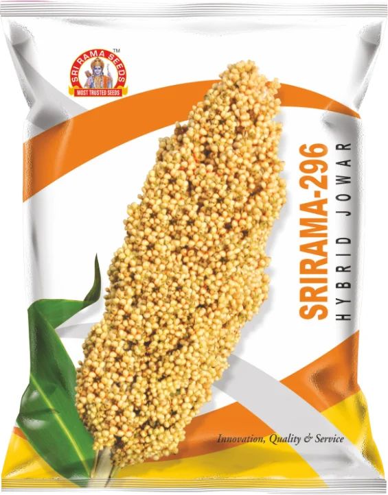 Sri Rama-296 Hybrid Jowar Seeds, Packaging Type : Plastic Packet