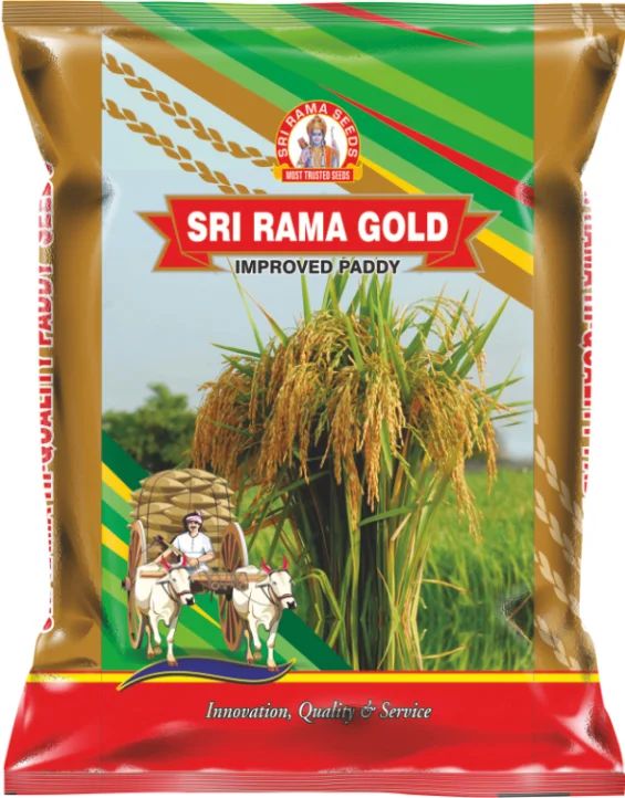 Sri Rama Gold Improved Paddy Seeds, for Agriculture, Packaging Type : Plastic Packet