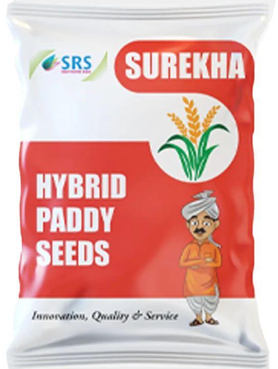 SRS Surekha Hybrid Paddy Seeds, for Agriculture, Packaging Type : Plastic Packet