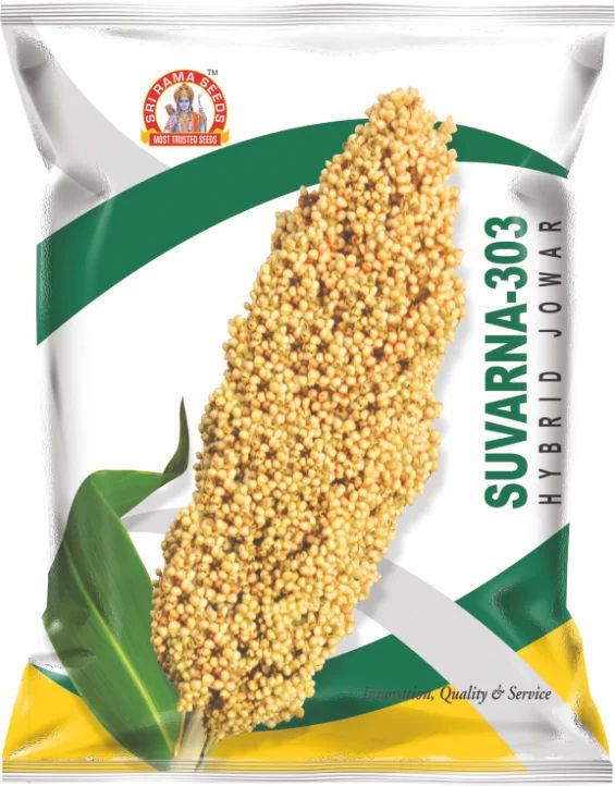 Suvarna-303 Hybrid Jowar Seeds, Packaging Type : Plastic Packet