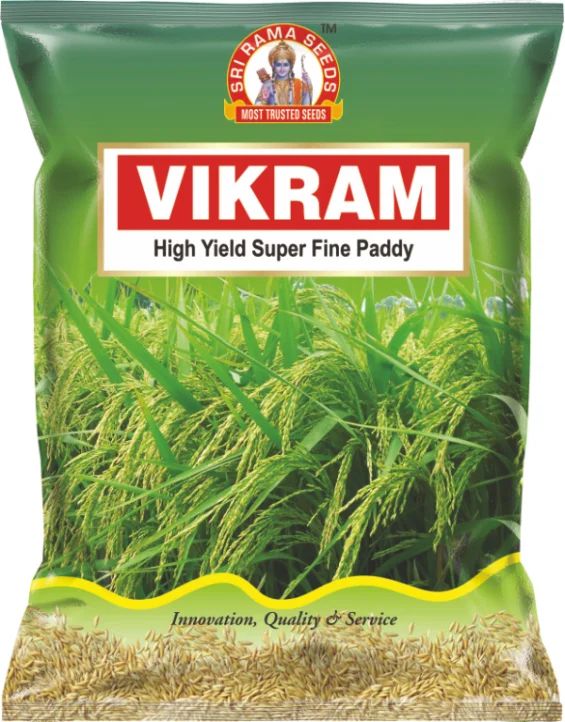 SRS Vikram Paddy Seeds, for Agriculture, Packaging Type : Plastic Packet