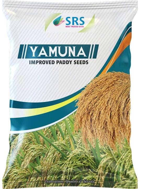 SRS Yamuna Improved Paddy Seeds, for Agriculture, Packaging Type : Plastic Packet