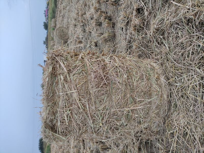 40-60bhp Round Straw Baler, For Agriculture Use
