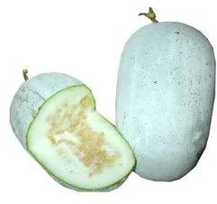 A Grade Fresh Ash Gourd, for Cooking, Packaging Size : 20 kg