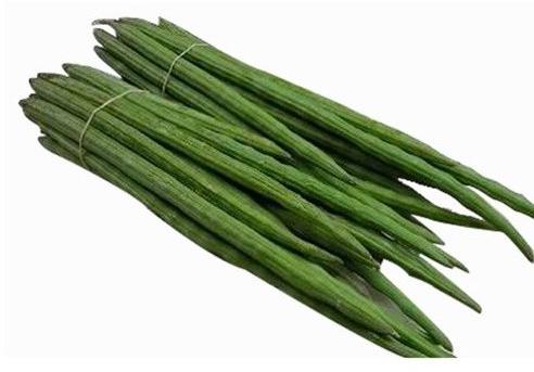Natural Green Fresh Drumstick, for Cooking, Packaging Type : Bag