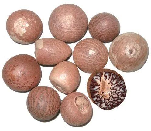 Organic Areca Nut, Style : Dried