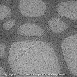 Graphene oxide support films