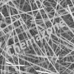 Nanochemazone Lead Zirconate Titanate Nanowire