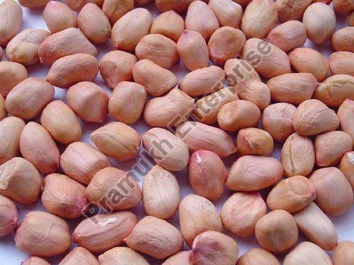 Light Red Natural 50/60 Java Groundnut Kernels, for Cooking Use, Making Oil, Packaging Type : Jute Bag