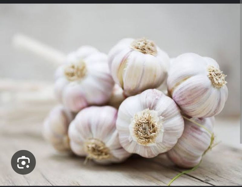 Garlic, Packaging Size : 5 Kg