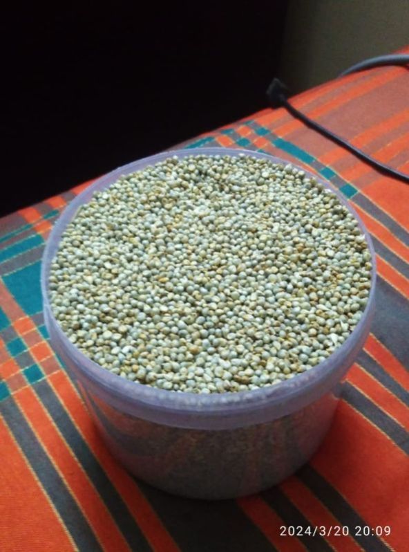 Bajara,millet
