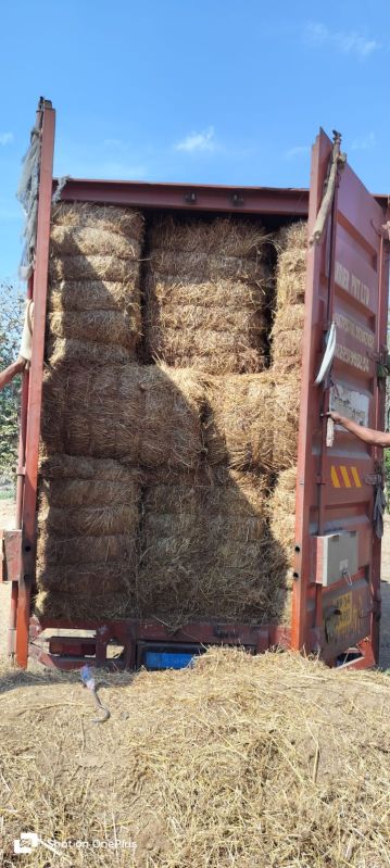 White 75kg Dry Grass, Dryer Capacity : 60-100kg Per Batch