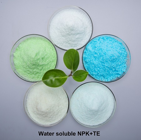 NPK Crystalline Powder