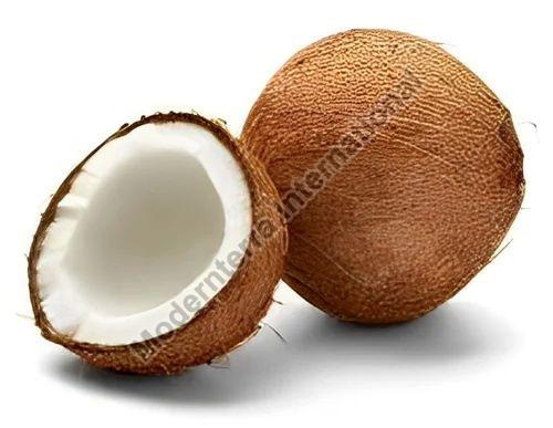 Solid Hard Organic Fresh Coconut, for Pooja, Medicines, Cosmetics, Color : Brown