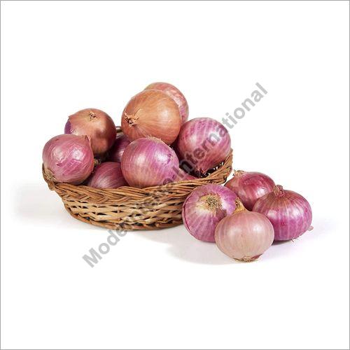 Fresh red onion, Size : 55mm . 45 Mm, 30 Mm, 35- 40mm
