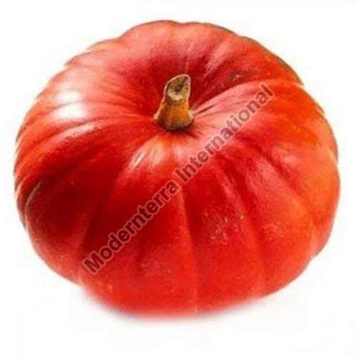 Fresh Red Pumpkin, for Cooking, Shelf Life : 6months