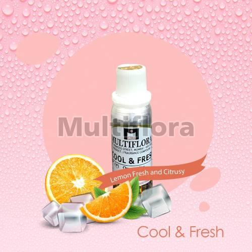 Liquid Cool & Fresh Perfume Oil, for Cloth, Packaging Type : Container